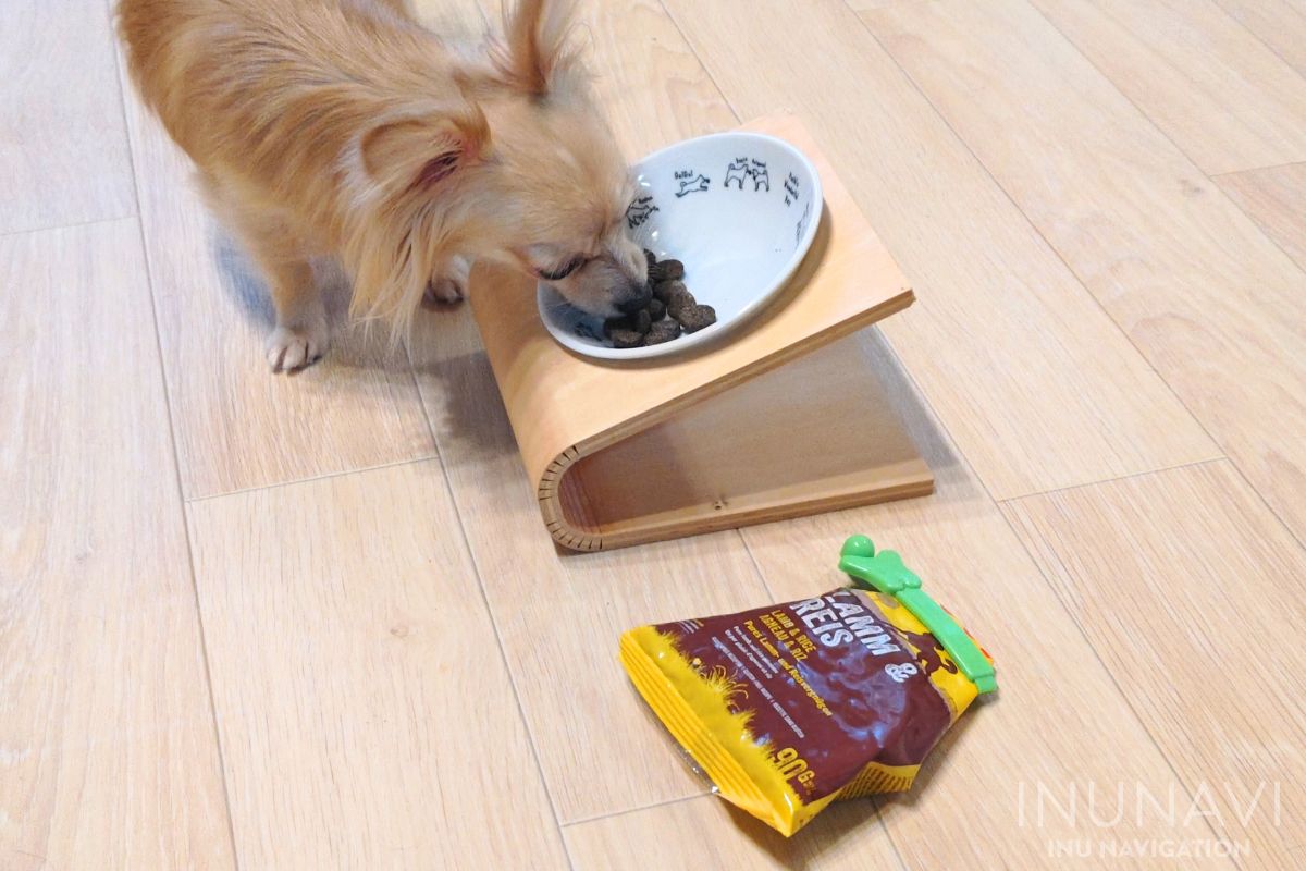 ジョセラ　ドッグフード ラム＆ライスを食べる愛犬 (5)